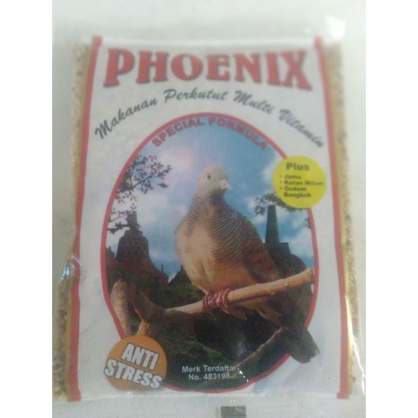 PHOENIX PERKUTUT PAKAN BURUNG KUTUT