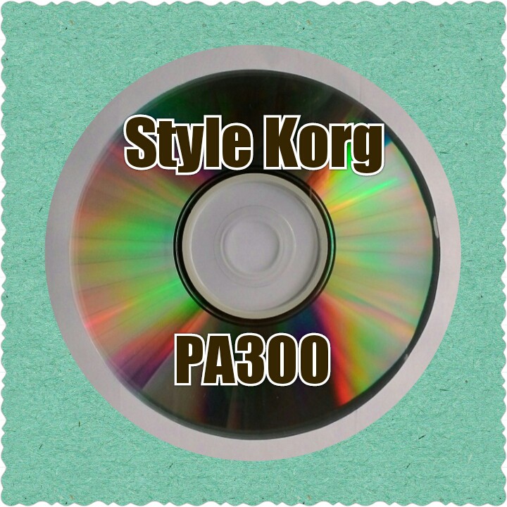 KORG STYLE PA300