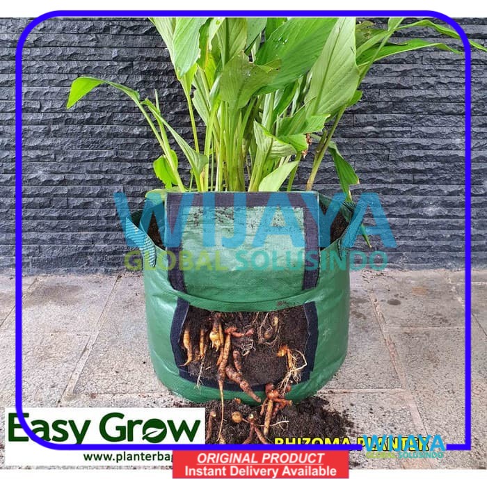 Rhizoma Planter Bag Easy Grow - L