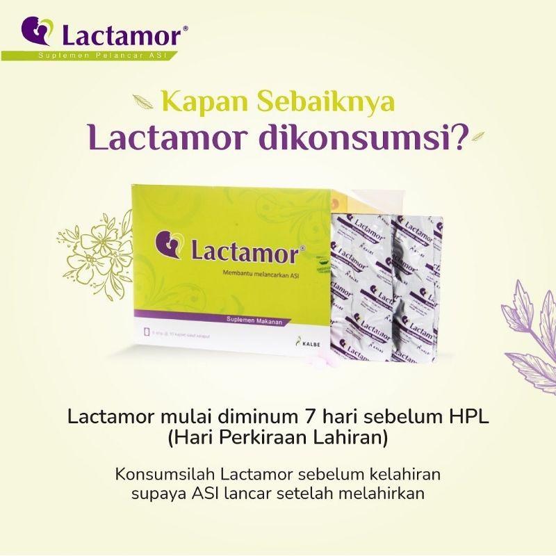 Lactamor Asi booster 6 blister @10 cap/ pelancar Asi