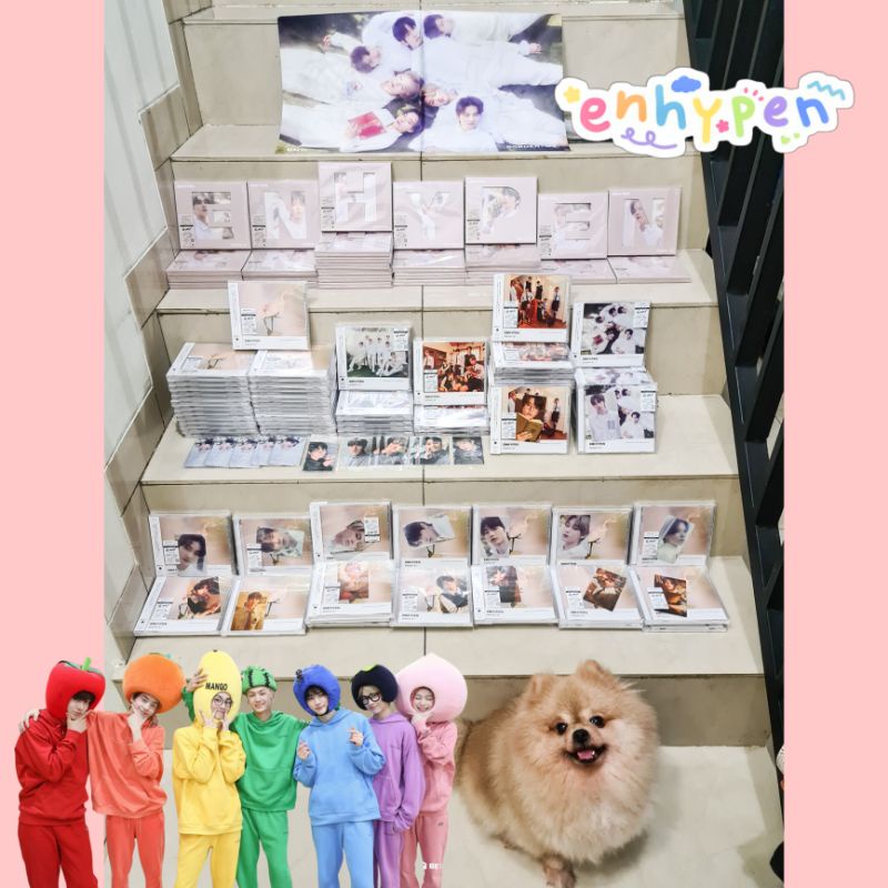 ENHYPEN JAPAN ALBUM BORDER HAKANAI Weverse / Standard / Universal UMJ UMS / Solo Jacket Soljack