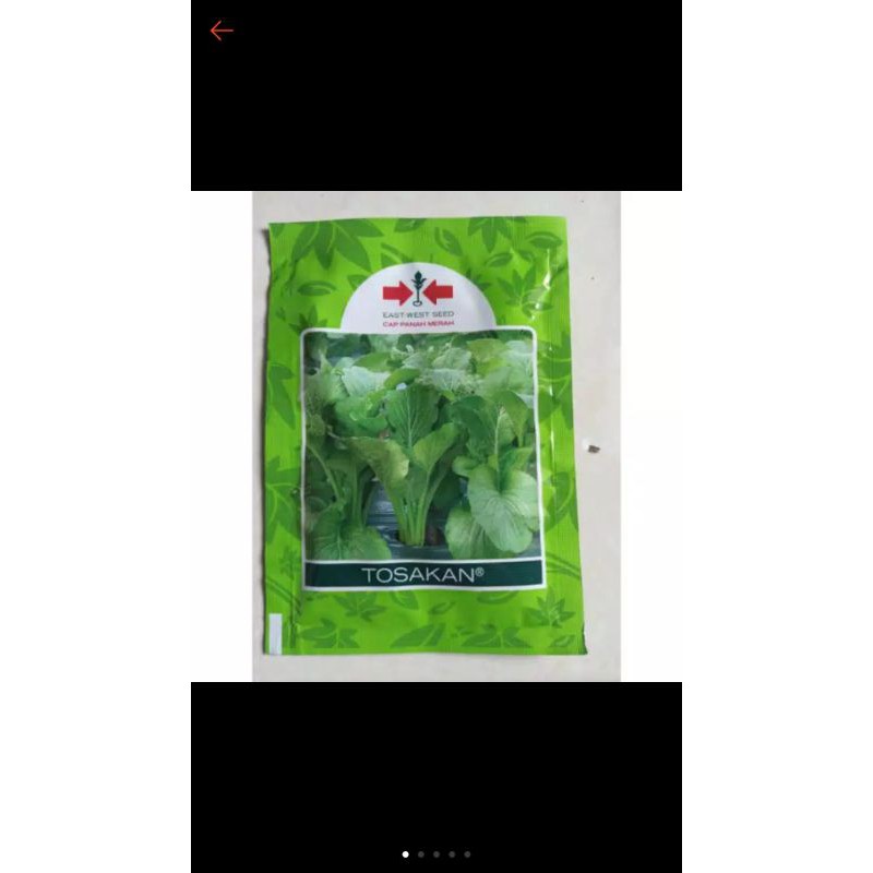 

SAWI CAISIM/SAWI TOSAKAN BELI 5PCS BONUS 1 PCS