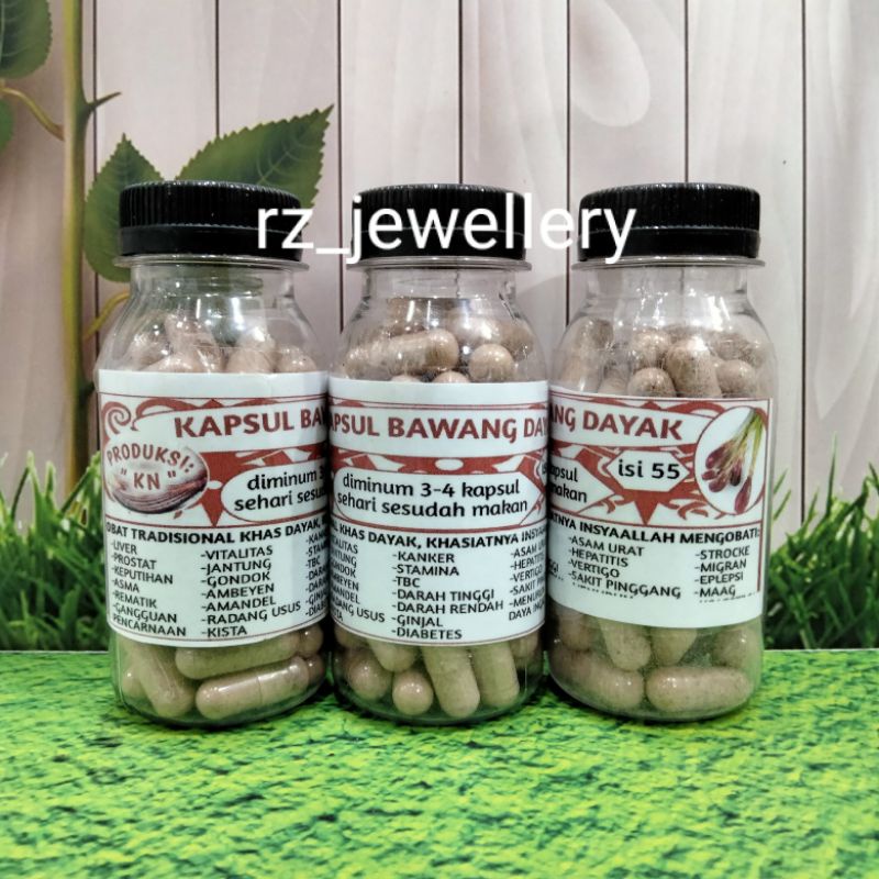 kapsul "Bawang dayak" asli kalimantan