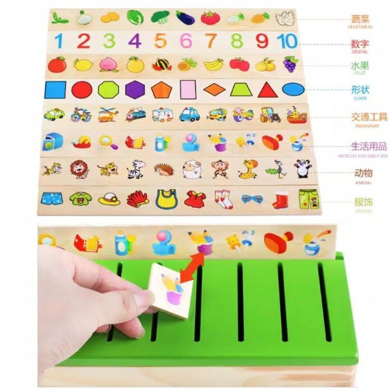 knowledge classification box puzzle montessori mainan anak bayi memory