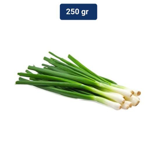 

Daun Bawang Besar 250 gr