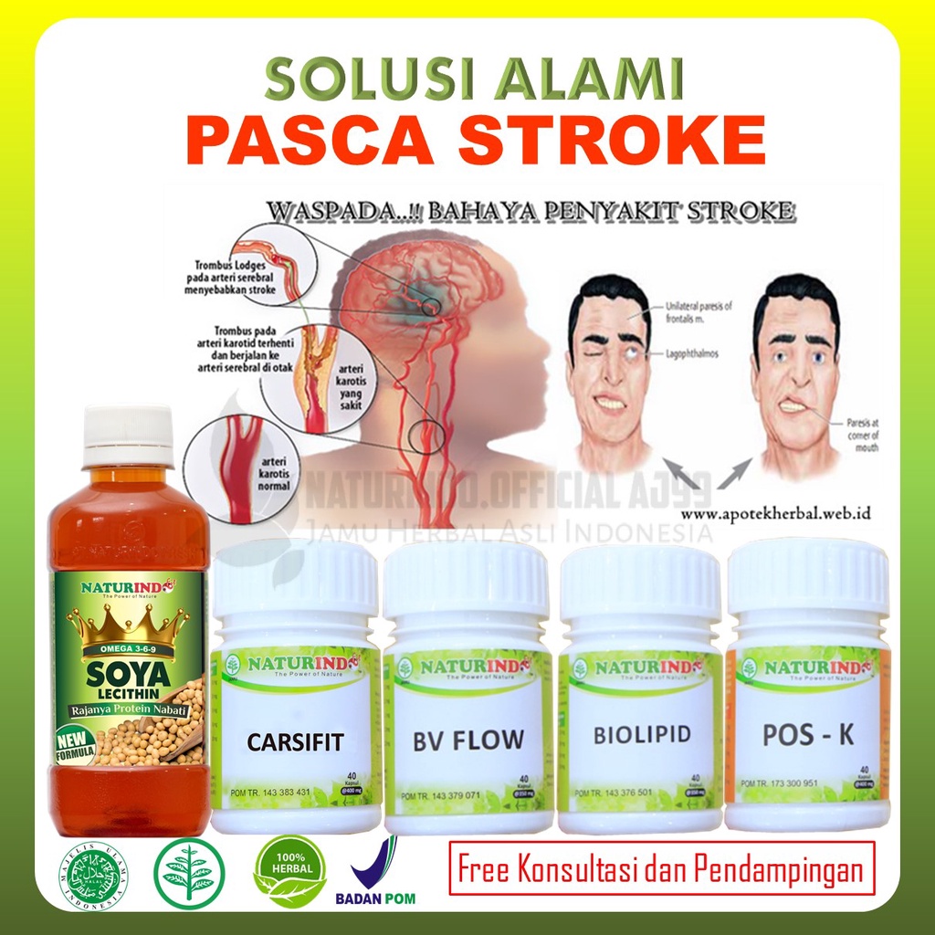 Paket Obat Herbal Pasca Stroke Paling Ampuh Naturindo BPOM
