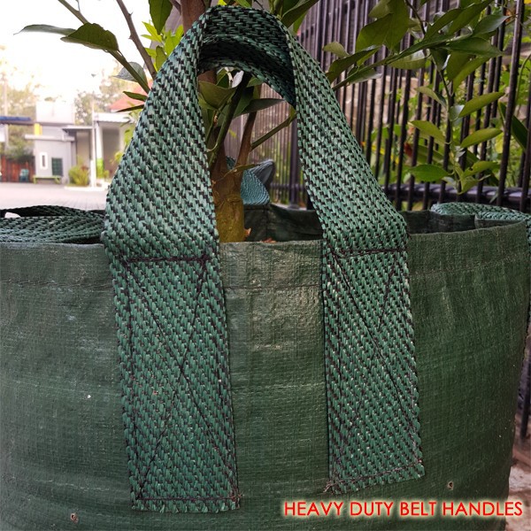 Planter Bag 250 Liter Easy Grow