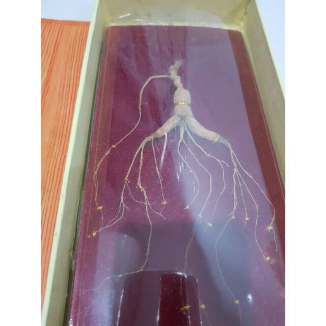 

Ginseng Korea Asli Import
