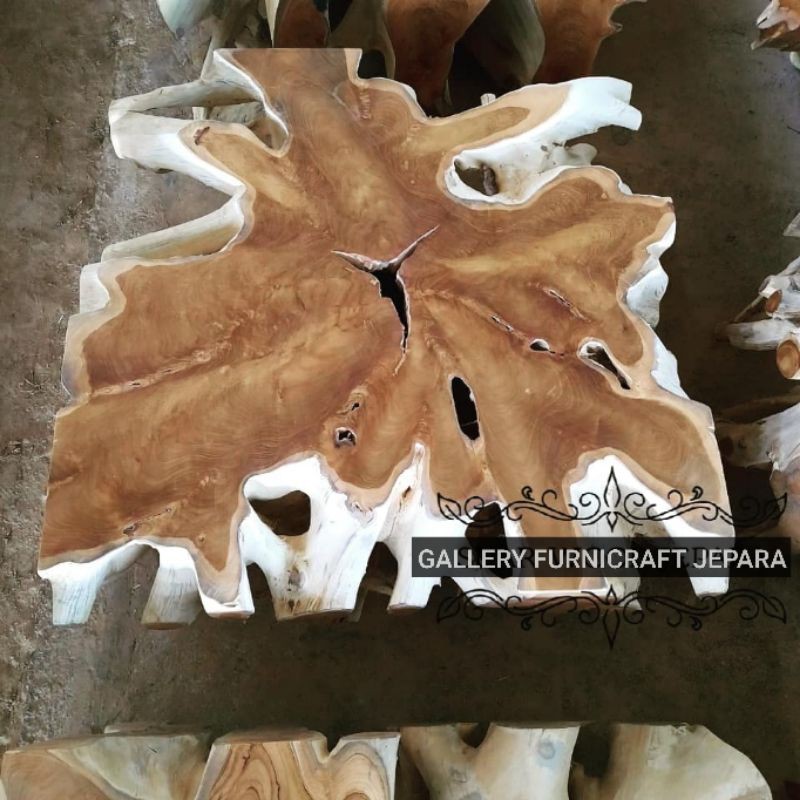 Meja Kopi Akar Solid Jati 100x100 cm