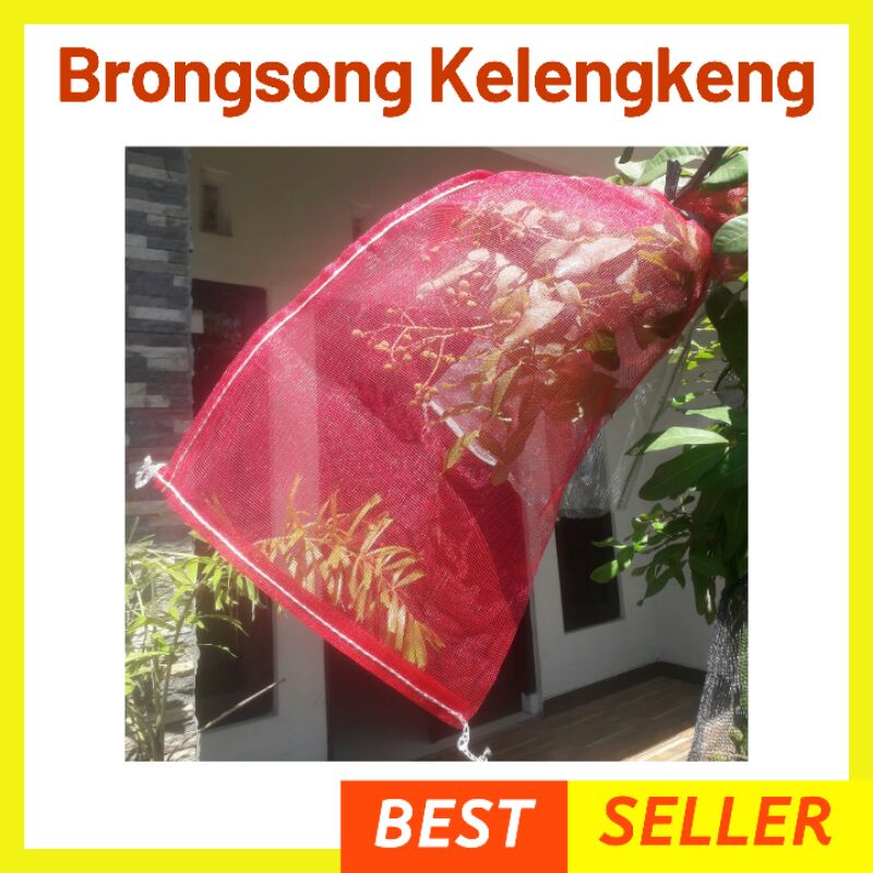 Jual Brongsong Buah Kelengkeng Anggur Karung Jaring Pembungkus Klengkeng Lengkeng Fruit Cover