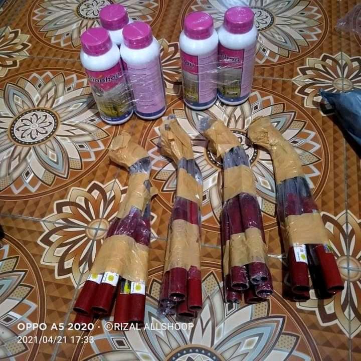 Pisau Sadap / Deres Karet.baja Asli )