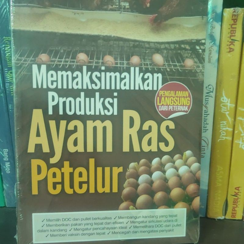 

memaksimalkan produksi ayam ras petelur