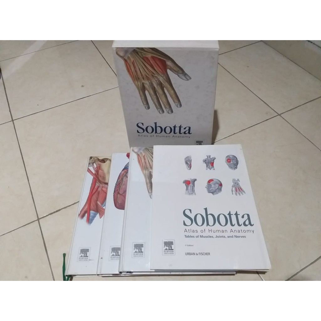 Sobotta Atlas of Human Anatomy 15th Edition, Package/Paket, English (Original/Asli)