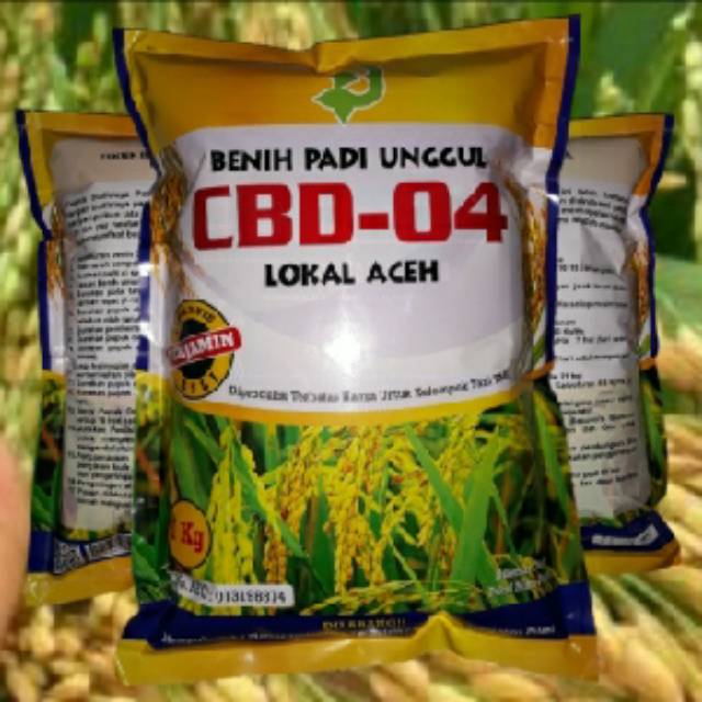 Benih Padi CBD 04 Lokal Aceh
