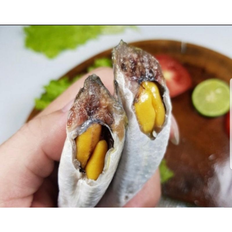 

IKAN BELANAK FULL TELUR TELOR 500GR