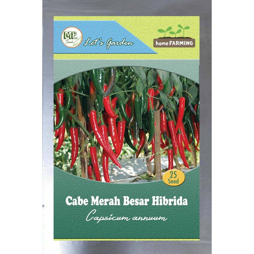 Benih Biji Cabe Merah Besar Hibrida