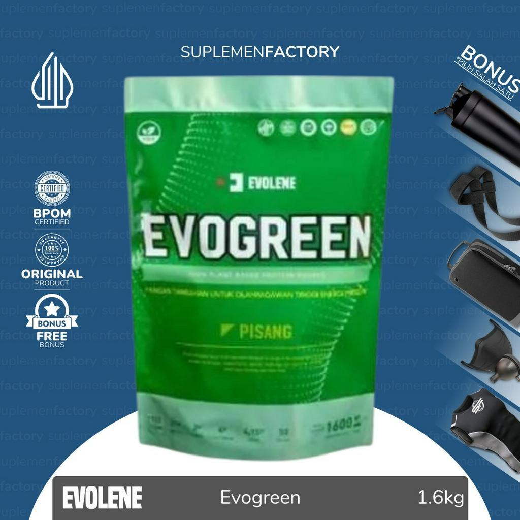 Evolene Evogreen 1600 Gram 50 Servings Plant Based Protein Evo Green