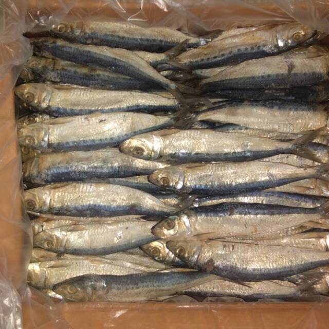 

Ikan asin lemuru 500gram