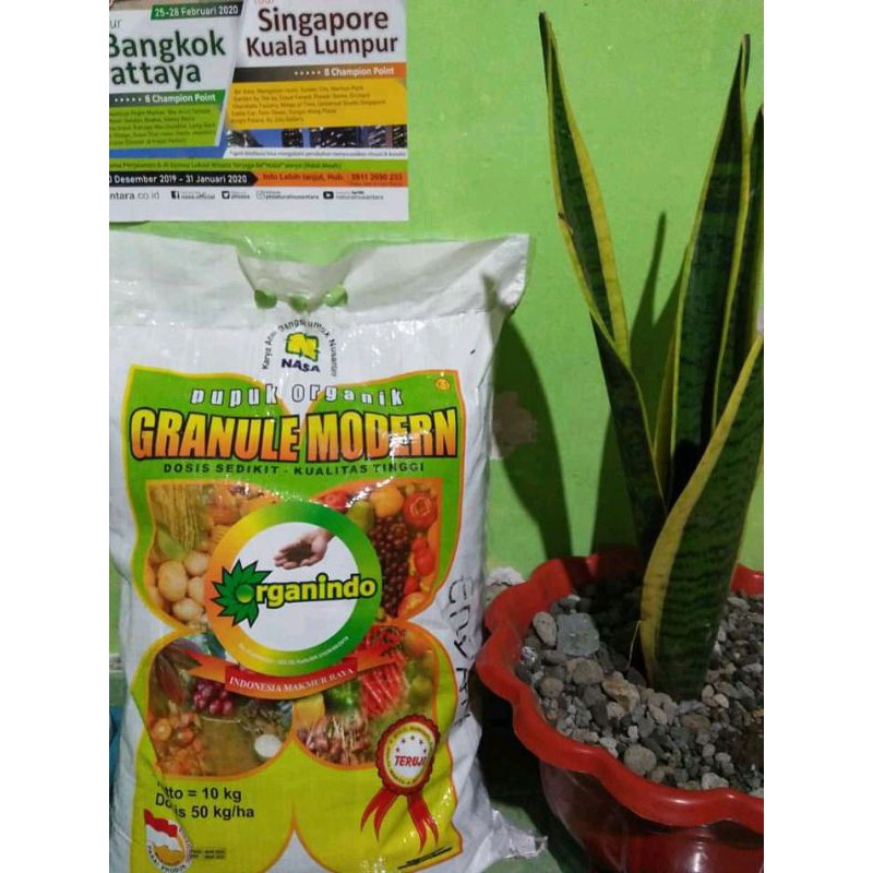 

granule