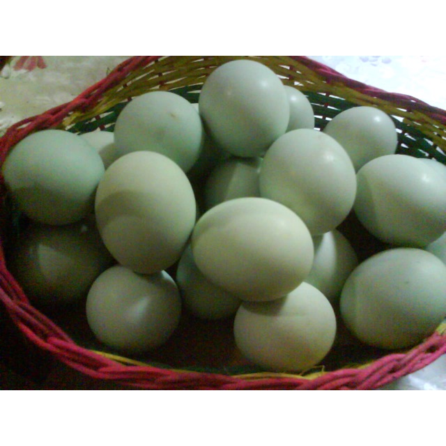 

Telor asin/ telor bebek