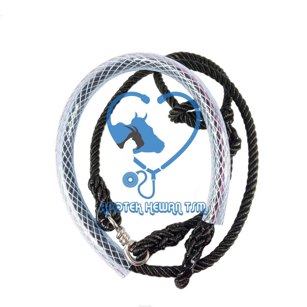 Tambang domba garut (petet, jajalon, induk betina)