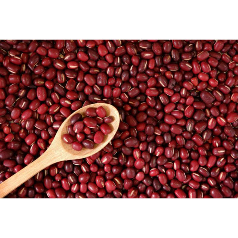 

KACANG MERAH BERKUALITAS SHOPPSHOPPING