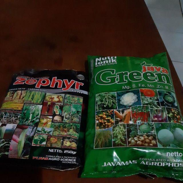 Fungisida Bakterisida Zephyr Pengendali Patek Blas Potong Leher Dobel Bahan Aktif Zepir Sepir