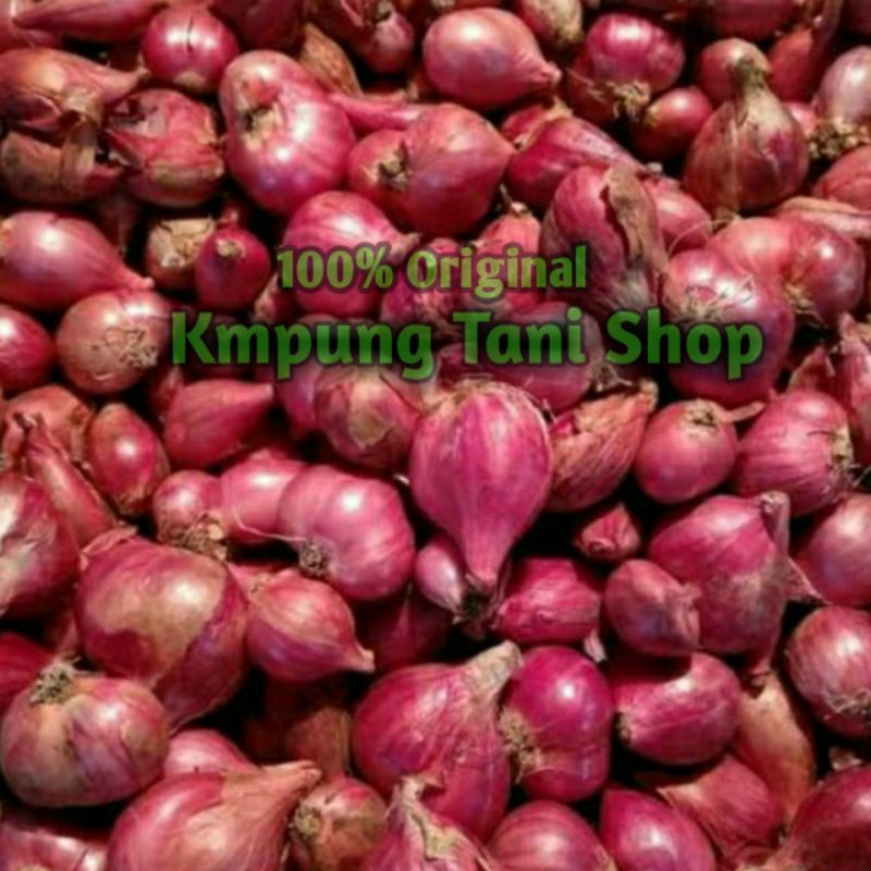

Bawang merah/brambang 100 gram