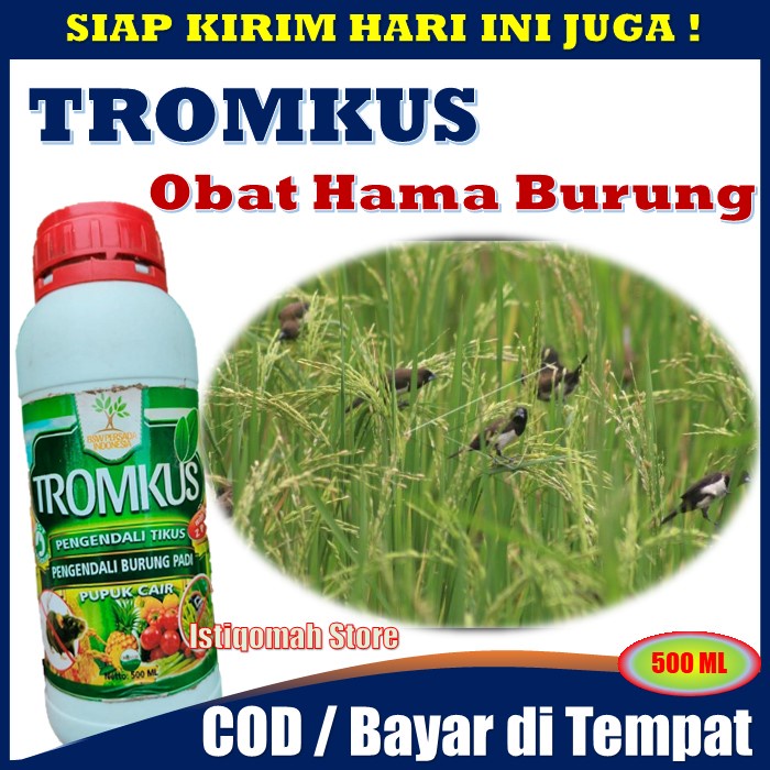 PROMO COD TROMKUS 500ml Pengendali Tikus - Obat Semprot Pengusir Tikus Ampuh - Obat Tikus Semprot Paling Ampuh buat di Sawah - Obat Tikus Mati Kering Tidak Bau - Obat Semprot Tikus Paling Ampuh