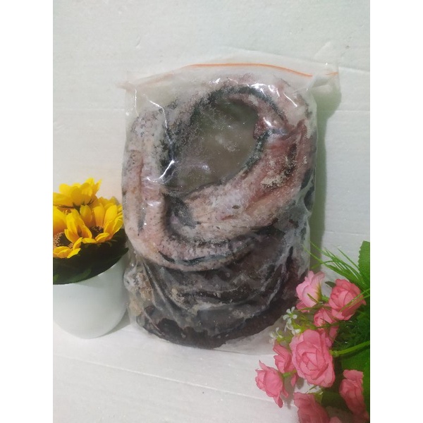 

Ikan Gabus All Varian Siap Olah
