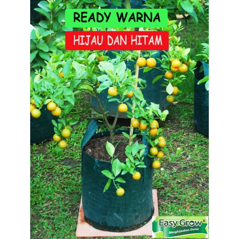 Planter bag 35 Liter EASY GROW Planterbag 35liter easygrow kantong Pot polybag semai benih bibit Tanaman bunga sayuran buah planter bag