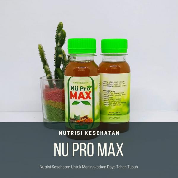

NUPROMAX (BENING) || 100ML