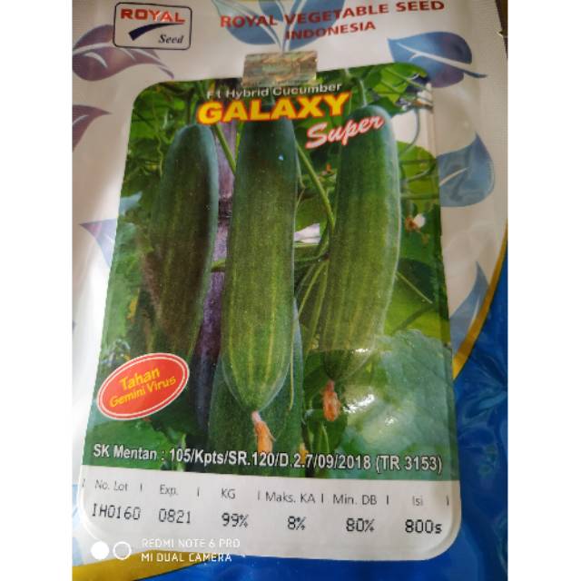 Benih mentimun GALAXY super 800biji