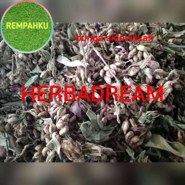 

BUNGA SIDOWAYAH KERING 1000 GRAM / 1 KG - Woodfordia Floribunda