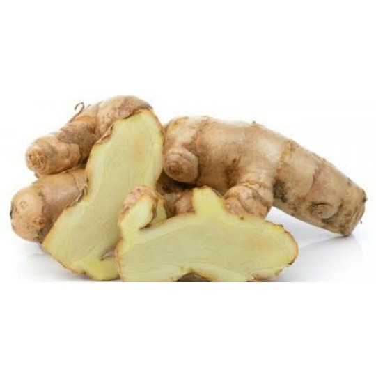 

berisi 1/2 kg kunyit putih