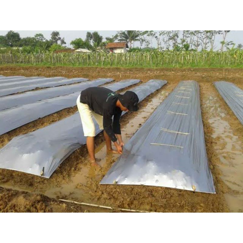 PLASTIK HITAM PERAK - PLASTIK BEDENGAN LEBAR 1 METER KEMASAN 1 KG