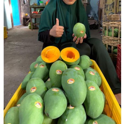 promo mangga manis READY 5kg MANGGA HARUM MANIS | mangga kardusan 5kg | mangga alpukat | mangga haru