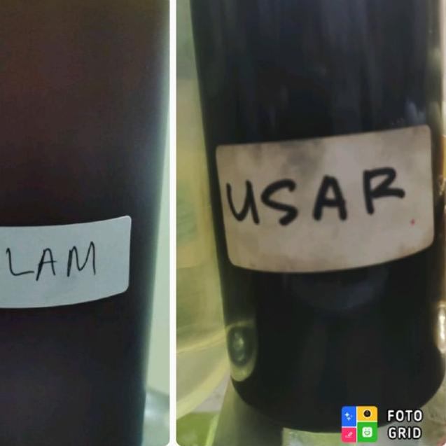 ➬ Essen Nilam & Usar ♩