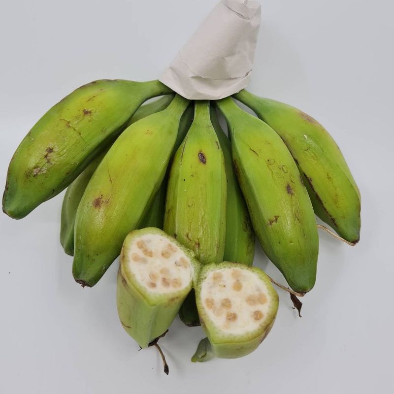 

Pisang Klutuk Pisang Batu Muda 1 Sisir