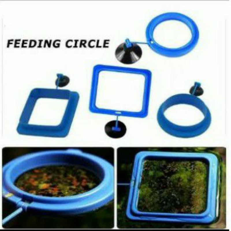 FEEDING FLOATING RING Alat Tempat Makan Pakan Ikan Mengapung aquarium