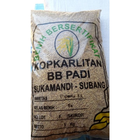 benih padi unggul INPARI 32 LABEL ungu 5 kg