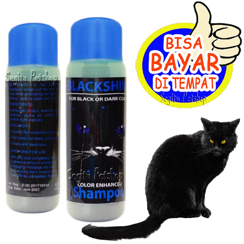 SAMPO KUCING BULU HITAM BLACK CAT PENGHILANG NODA BLACKSHINY