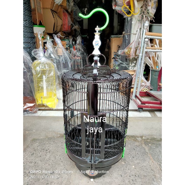 Kandang Anis Wambi Klasik Ruji rapet Ebod Jaya Hitam