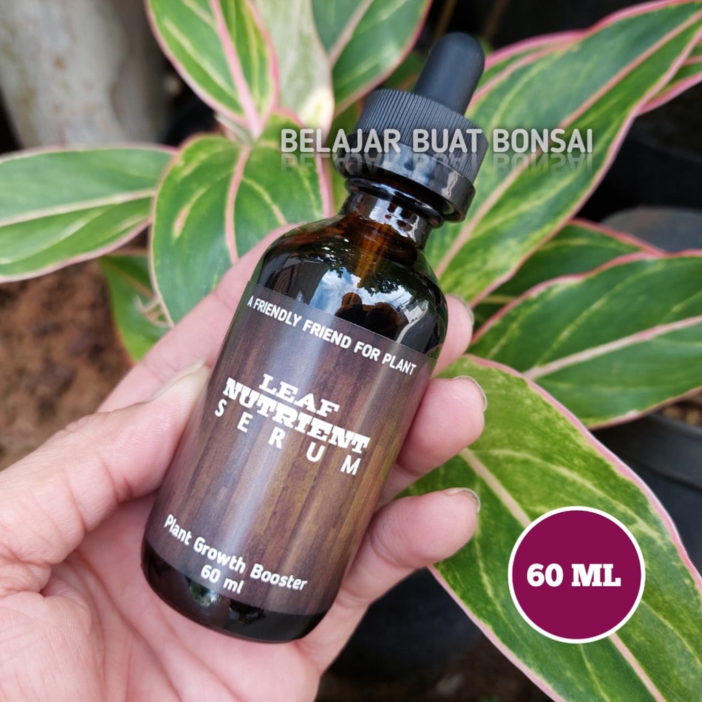 Pupuk Nutrisi Daun 60 ML Leaf Nutrient Serum Plant Food