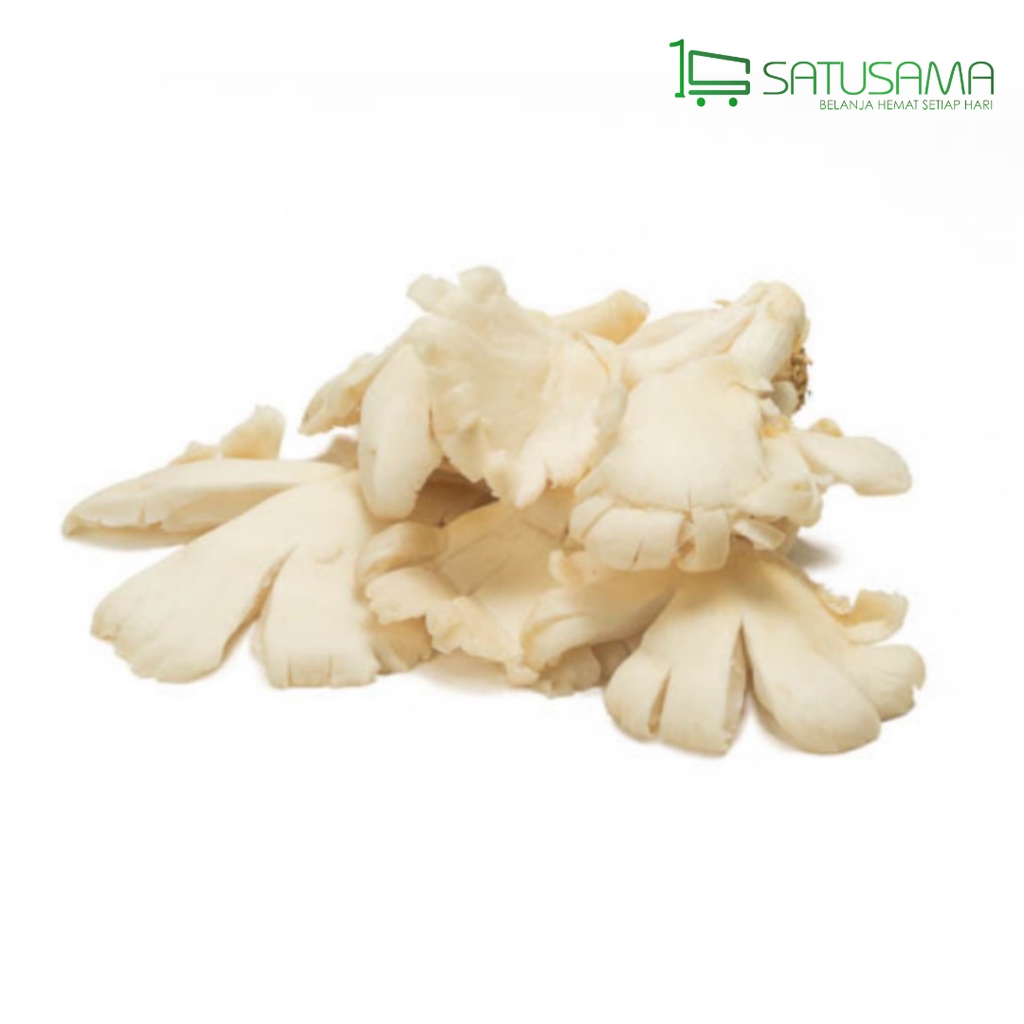

JAMUR TIRAM 100 G