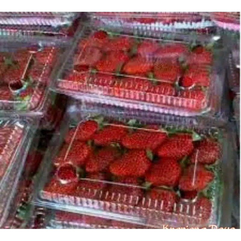 

Strawberry segar per pack dan per kg