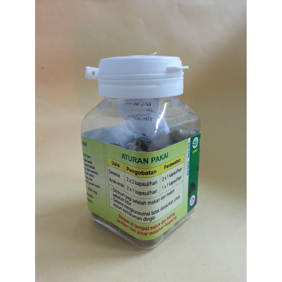 

BIG SALE KAPSUL GURAH SUPER !