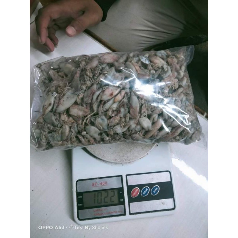 

cumi kering cumi asin baby cumi