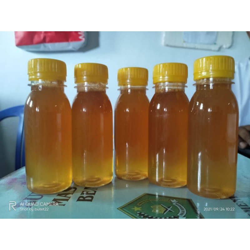 

madu trigona lebah kelulut 100%asli dan murni 100m