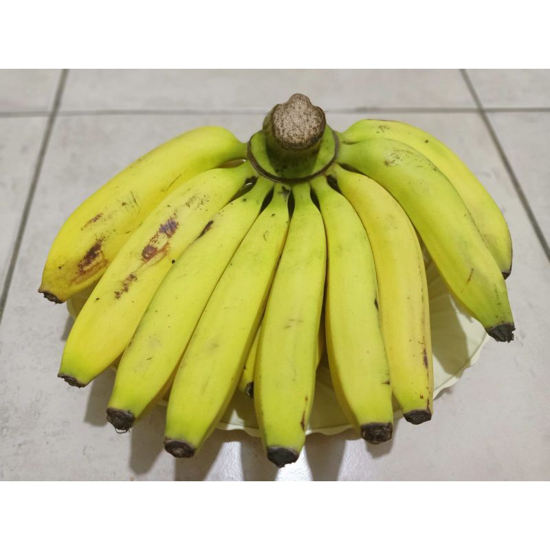 

PISANG